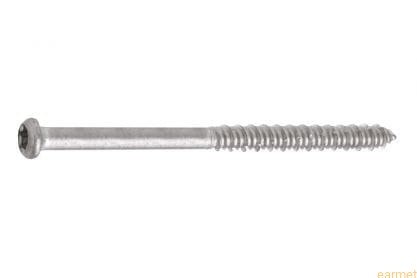 Wkręt samogwintujący  WBSW / 6,3x300 / TX-30 / do betonu i drewna