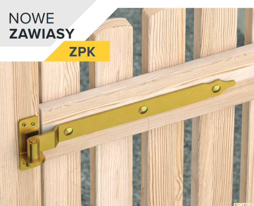 Zawias pasowy ZPK / 300*13*3,0 / złoty