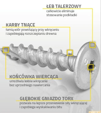 Wkręty do architektury ogrodowej CTO / 8x50 / op-8szt